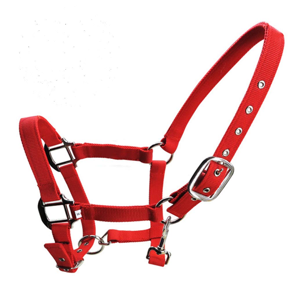 SagaSave Horse Headcollar Double-layer thickened webbing 3 Colors and Sizes Headcollar fleece trim Blue/Red/Black