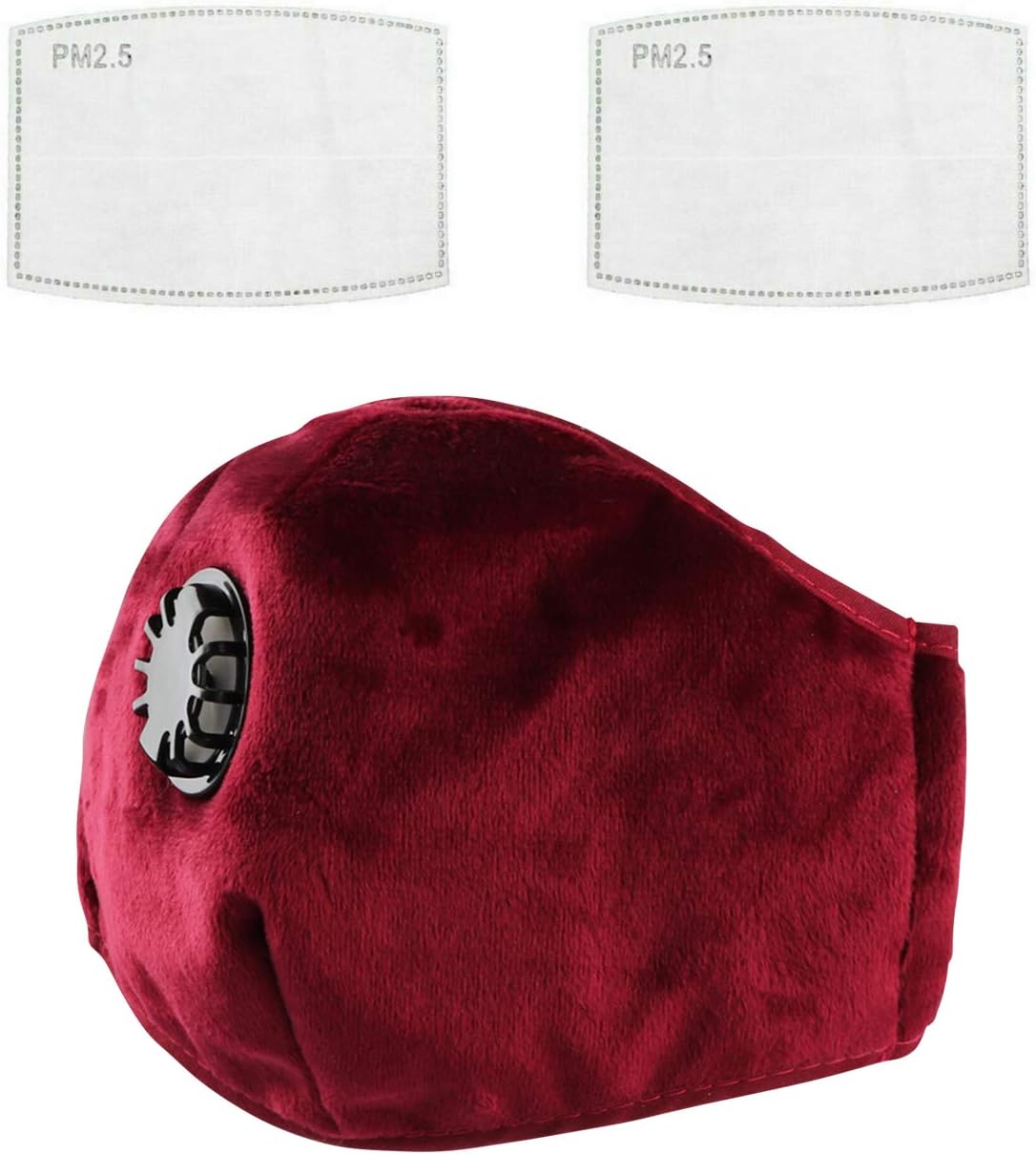 PM2.5 Activated Carbon Filter 5 Layer Replacement Protective Filter for Mask(1 Mask +2 Filters) (Red)