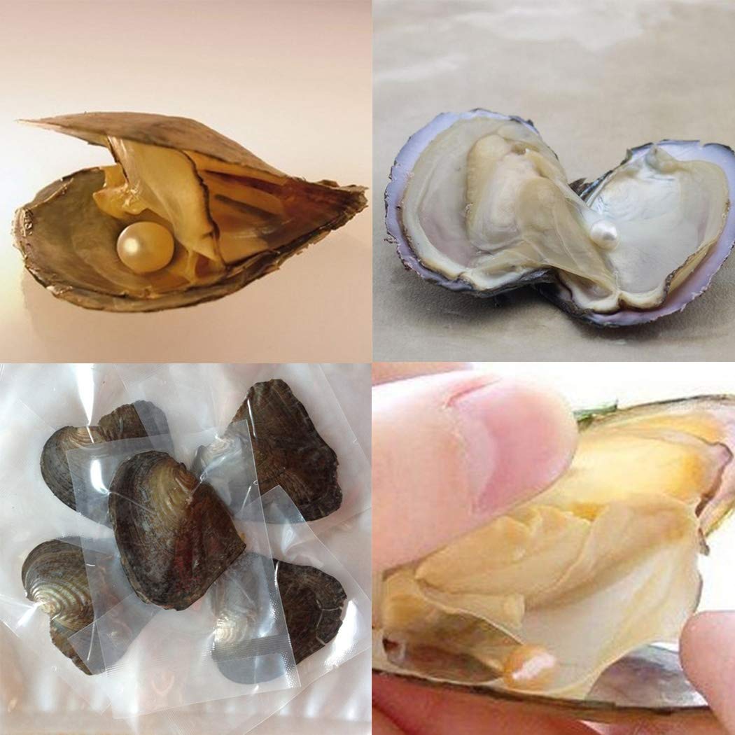 6 psc Vacuum Packaging Mussel Oyster Drop Pearl Pendant Pearls (White)