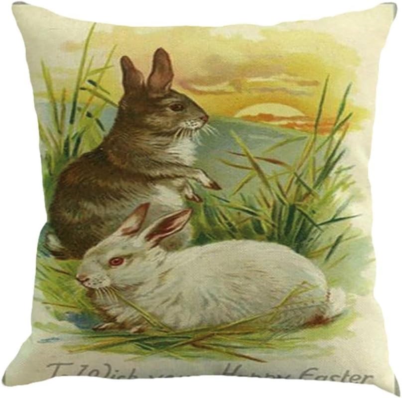Quistal Rabbit Print Throw Pillow Case Cotton Linen Sofa Couch Chair Waist Cushion Cover Sofa Bed Home Decoration 18 X 18 Inches (E)
