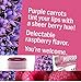 Hurraw! Echium Raspberry, Baobab Banana, Papaya Pineapple Lip Balms, 3 Pack Bundle: Organic, Certified Vegan, Cruelty & Gluten Free. Non-GMO, 100% Natural. Bee, Shea, Soy & Palm Free. Made in USA