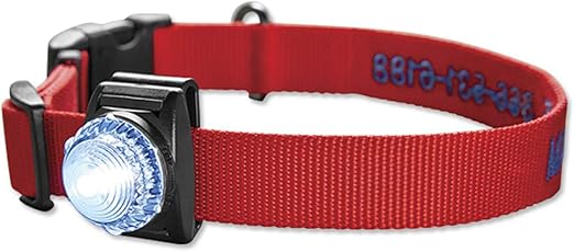 orvis leather dog collar