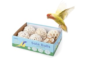 andwe Bird Toy Sola Balls - Natural Soft Chew Shredding & Foraging Toy for Cockatiel Conure Quaker Parrot Budgie Parakeet Rabbit Bunny Guinea Pig Chinchilla (Style 2 (Pack of 6))