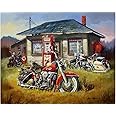 ABEUTY DIY Paint by Numbers for Adults Beginner,Motorcycle on The Grass Outside The House 16x20 inches Number Painting Home Decoration Crafts (Wooden Framed)