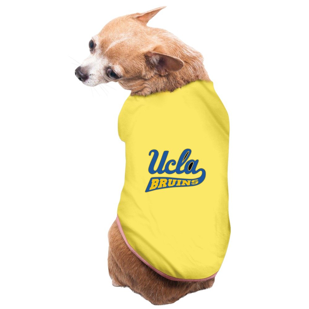 ucla dog sweater