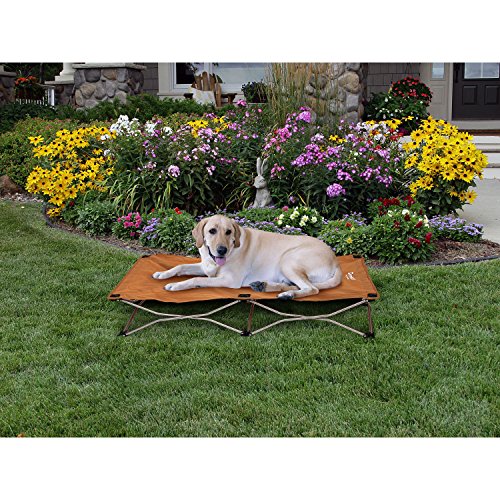 Carlson Pet Products 8025 Elevated Folding Pet Bed 46" Long, Includes