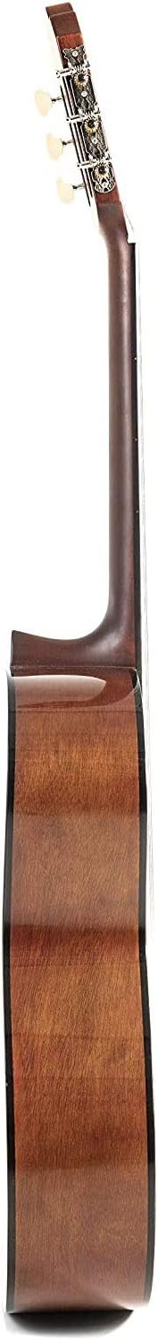 Juan Miguel Navarrez concert guitar, classical guitar, 4/4 special poppy honey - natural - natural, Nature - Image 5