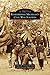 Remembering Michigan's Civil War Soldiers by David D Jr Finney, Judith Stermer McIntosh
