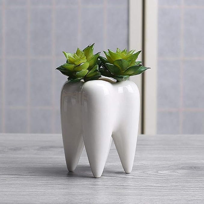 Plant pots planters CDFZS Teeth Shape Ceramic Flowerpot Innovation Modern Design