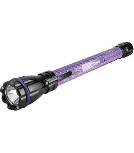 Amazon.com: Performance Tool W2648 365-395nm UV Light with