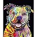 5D Diamond Painting Kits Full Drill Diamond Embroidery (Bulldog, 12x16)