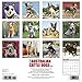 Just Australian Cattle Dogs 2018 Calendar