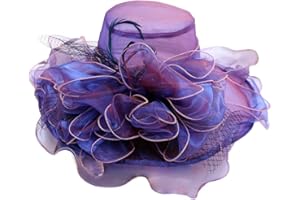 Fascinators Hat for Women Wedding Tea Party Hats for Women Tea Party Fascinator Mesh Hat