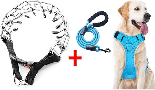 dog still pulls with prong collar