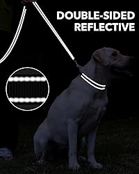 Taglory Dog Leash for Small Dogs, Double-Sided