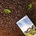 Low Acid Organic Coffee – Whole Bean, Mold-Free & Stomach Friendly by Java Planet, Guatemalan Single Origin Coffee, Medium Roast, Smooth Full Flavored, 2x1LB Bag