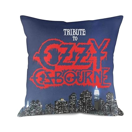 Amazon Com Shentdang Cloth Throw Pillow Case Decorative Cotton