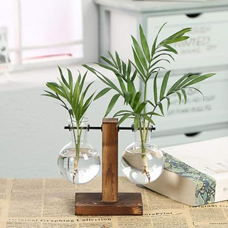 Xcvb Transparent Holzrahmen Glas Tischplatten Pflanzen Dekoration Zuhause Bonsai Blumen Pflanzen Vasen Vintage Blumentopf Paralleldoublebottle Amazon De Kuche Haushalt