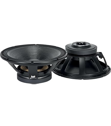 Amazon.com: RCF L18P300 18-Inch Car and DJ Woofer, Black : Electronics