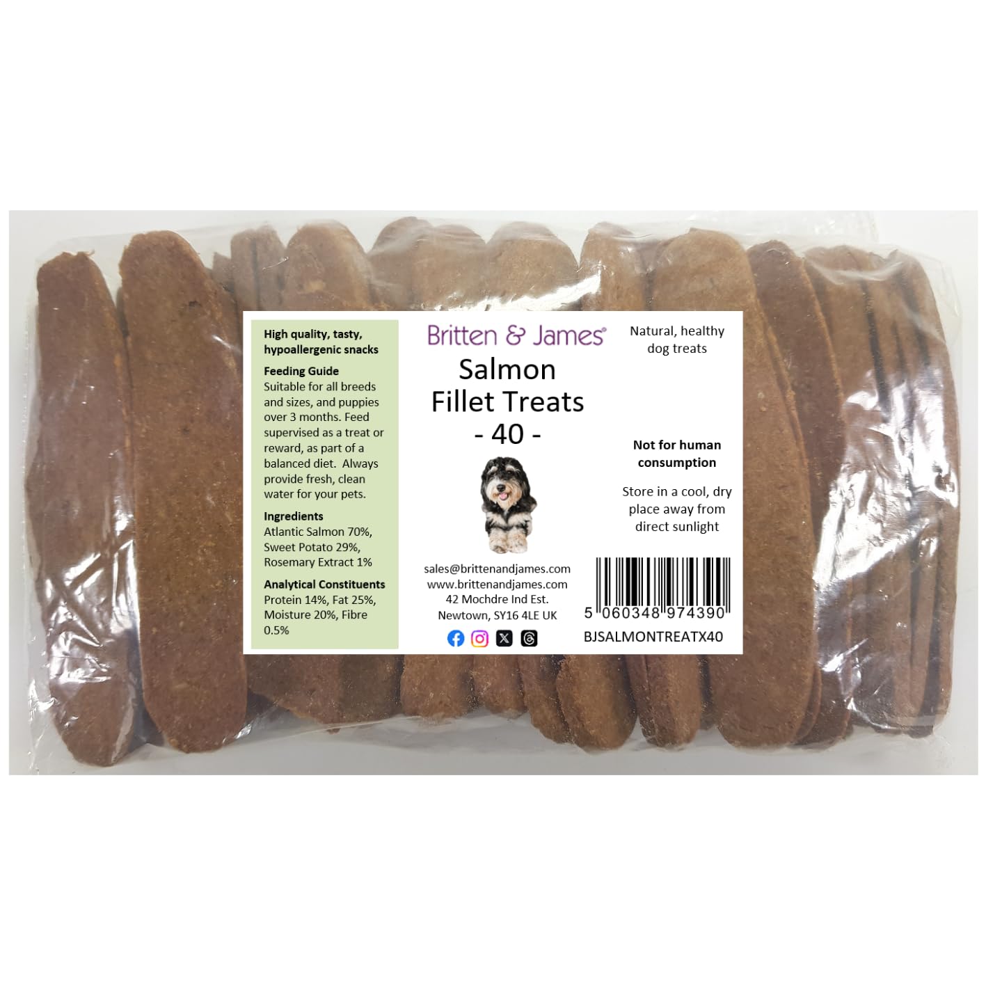 Salmon Fillet Strips for Dogs by Britten and James. A 100% Natural and Healthy Dog Treat and Reward - Grain Free, No Additives, Hypoallergenic (Pack of 40)