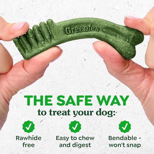 GREENIES DENTAL BONE DOG TREAT SWEET POTATO LARGE 12OZ