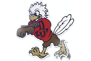 NUDGE PRINTING NCAA Vintage Popular Car Decals