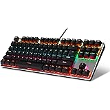 LeadsaiL Gaming Keyboard Compact Tenkeyless Mechanical Keyboard,RGB Rainbow LED Backlit Floating Keyboard with Blue Switch, 8
