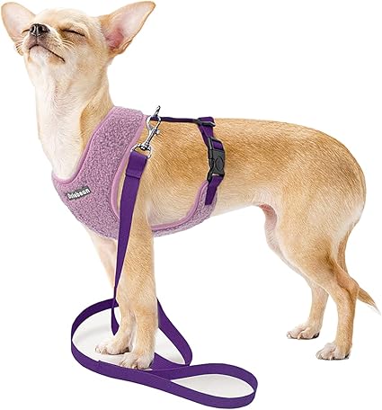 Amazon Sungroo小型犬 胴輪 ペット用 ソフト 中型犬 猫ハーネス リードセット 通気 可愛い 散歩 用 反射光 ソフト 保温 パープル L Sungroo ハーネス 通販