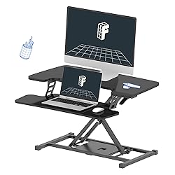 FLEXISPOT 32-inch Height Adjustable Standing Desk