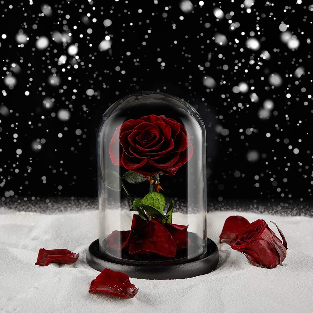 Eterfield Eternal Rose Real Rose Preserved Rose in Glass Dome Gift for Her Thanksgiving Christmas Valentine's Day Mother's Day Anniversary Birthday (Burgundy)