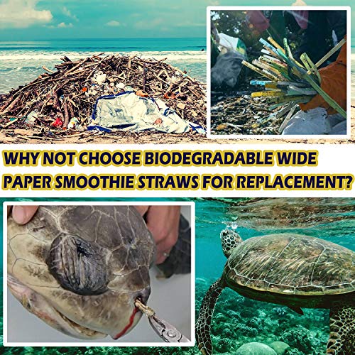 100 Pack Biodegradable Wide Paper Smoothie & Boba Straws - 10 mm Extra Wide Jumbo Paper Straws for S - //coolthings.us