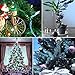 VMANOO Solar String Lights 100 LED M5 Clear Mini Fairy Christmas Lighting Decor For Outdoor Indoor Garden Patio Lawn Wedding Holiday Party Xmas Tree Wreath Decorations, Waterproof (White)