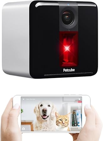 petcube offline