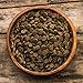 Earthborn Holistic Great Plains Feast Grain-Free Dry Dog Food