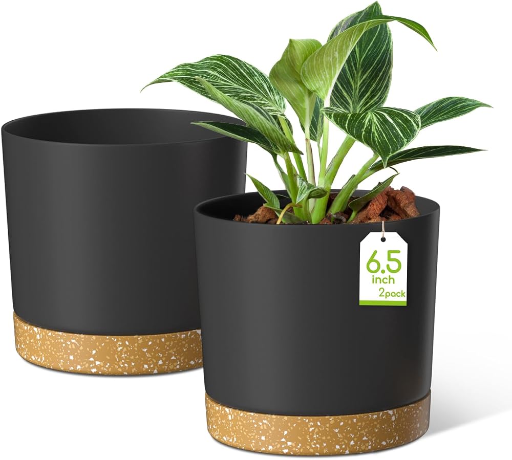 ZMTECH 16.5 cm Plant Pots with Drainage Holes and Detachable Saucer (Set of 2)