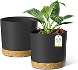 ZMTECH 16.5 cm Plant Pots with Drainage Holes and Detachable Saucer (Set of 2)