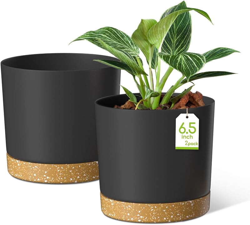ZMTECH 16.5 cm Plant Pots with Drainage Holes and Detachable Saucer (Set of 2)