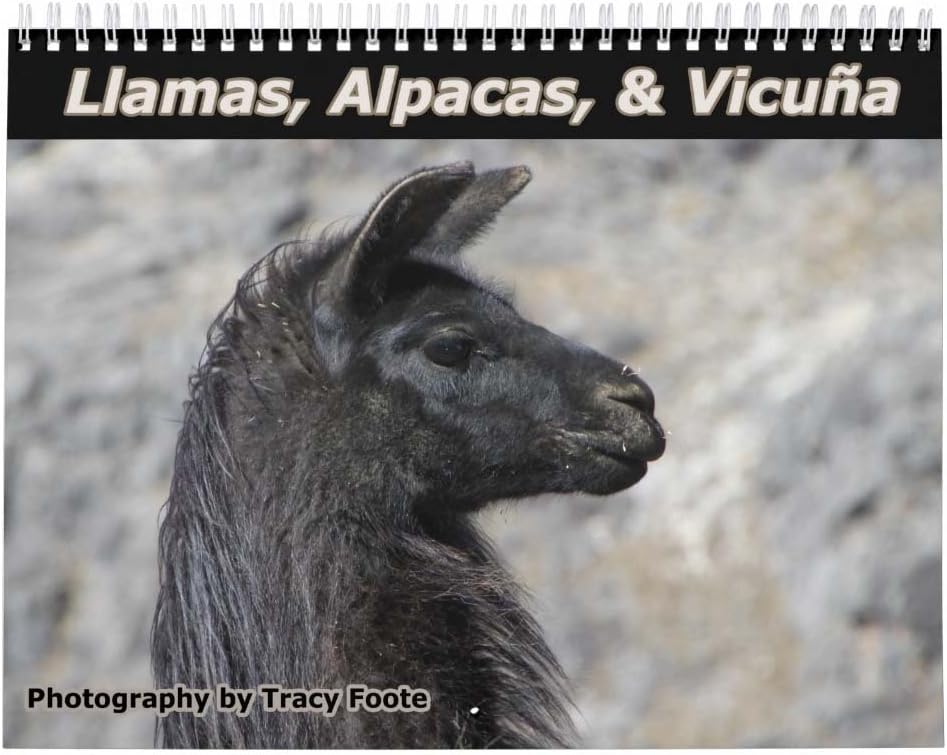2021 Llama Photography Wall Calendar - Wild Andes Mountain Images
