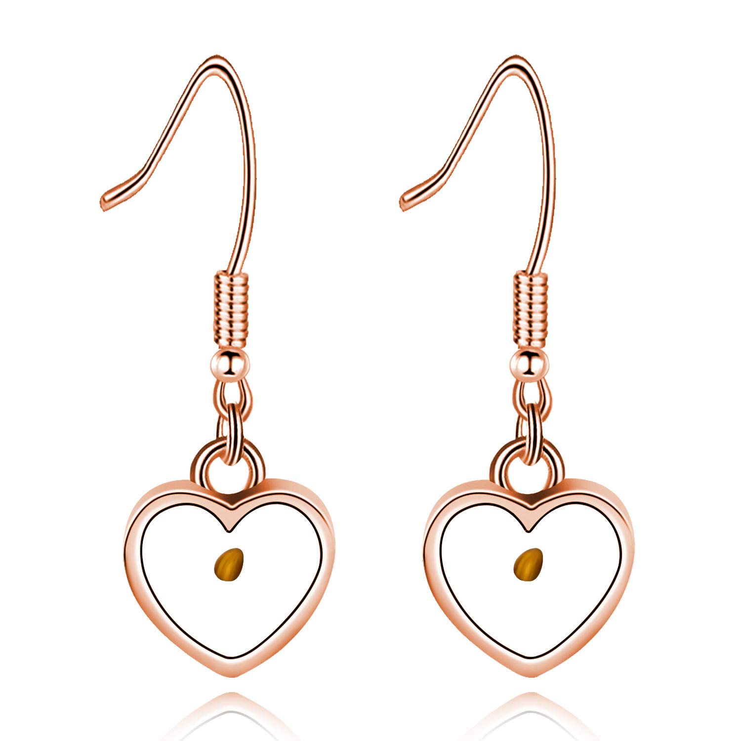 Charm Fatih of a Mustard Seed Heart Pendant Earrings for Women, Rose Gold Plated Earrings Dangle Christian Jewelry Y582 (Heart)