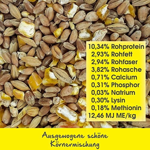 Emmas Hühnerfutter 20kg Hendlglück | Körnermischung für Legehennen | ohne Gentechnik | hergestellt in Ãsterreich | ausgewogenes Ergänzungsfutter für eine artgerechte Haltung und Ernährung – Bild 6