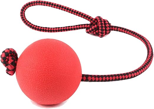 Pelota de juguete para perro Jiele, bola de goma duradera con asa ...