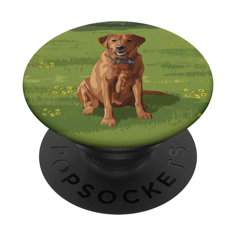 Fox Red Yellow Labrador Retriever Dog in Grassy Field PopSockets PopGrip: Swappable Grip for Phones & Tablets