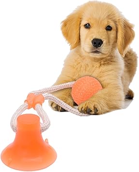 amazon cane interattivo