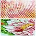 DIY 5D Diamond Painting by Number Kits Partial Diamond Crystal Rhinestone Diamond Embroidery Paintings Pictures Arts Craft for Home Wall Decor Flamingo 11.8x15.8in