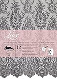 Lace - Gift & Creative Paper Book Vol. 53 (Pepin) by Roojen (Van) Pe (2013) Paperback by 