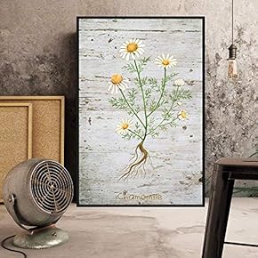 Floating Framed Canvas Wall Art for Living Room, Bedroom Plant Canvas Prints for Home Decoration Ready to Hang - 16x24 inches