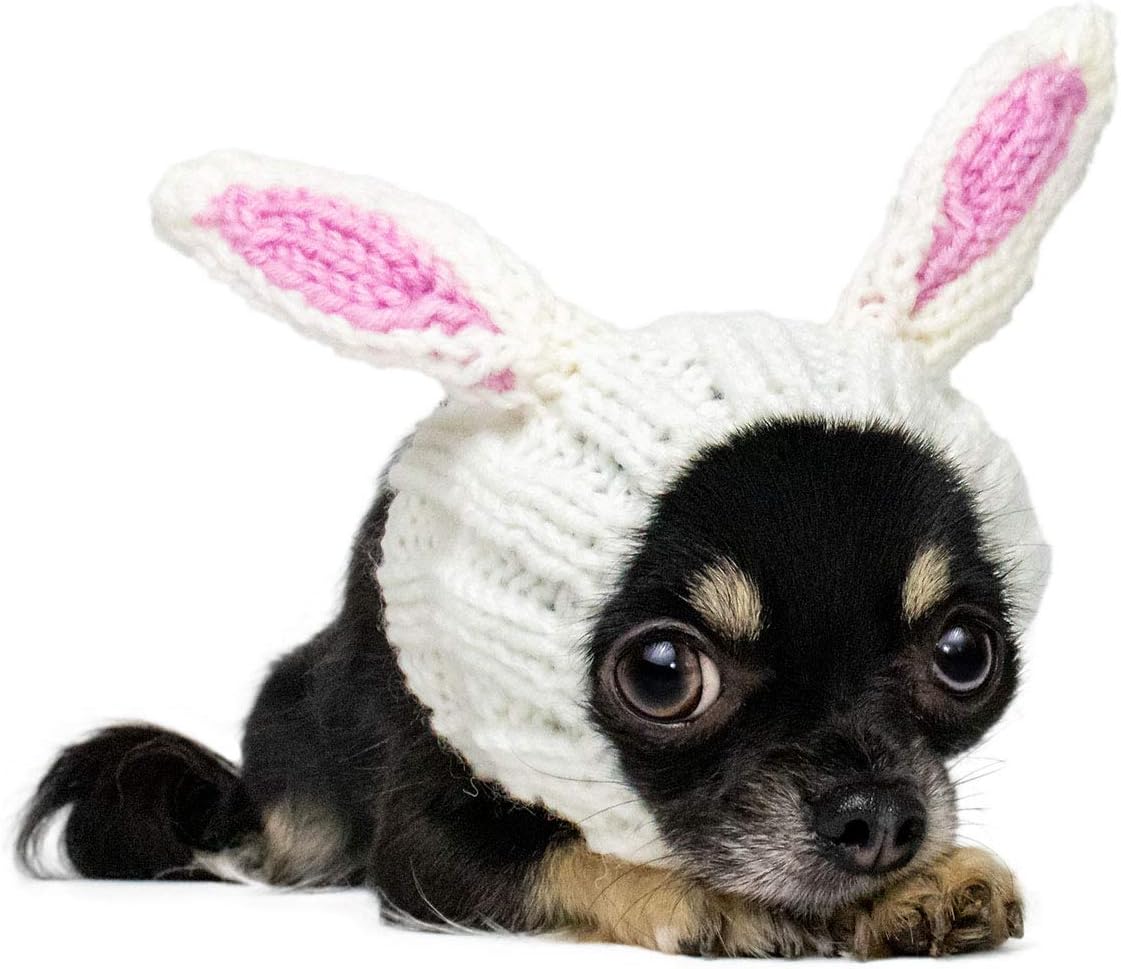dog and bunny