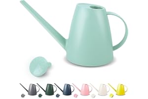 Watering Can for Indoor Plants, Small Watering Cans for House Plant Garden Flower, Long Spout Water Can for Outdoor Watering 