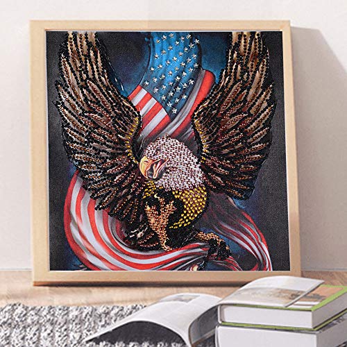 Staron  Newest Diamond Painting Kits - Crystal Special Shaped 5D Drill Cross Stitch Craft Kits Pictures Paint with Diamonds Home Wall Arts Decor Mosaic Making (D)