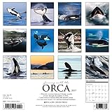 Image de Orcas 2017 Wall Calendar